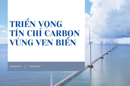 Triển vọng tín chỉ carbon vùng ven biển