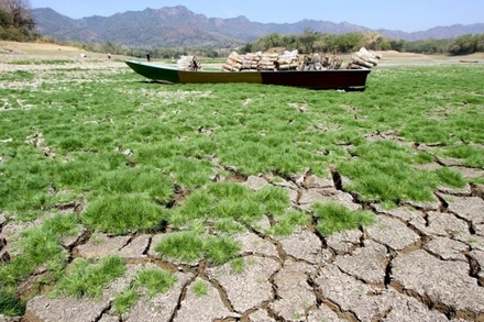 Một con thuyền mắc cạn trên lòng hồ tại huyện Wonogiri, tỉnh Trung Java (Indonesia) ngày 10/8/2023. (Ảnh: Tân Hoa xã)