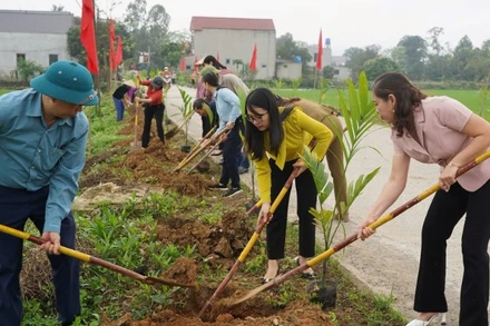 Cán bộ và nhân dân xã Đồng Thái (Ninh Bình) trồng cây, tạo cảnh quan nông thôn xanh-sạch-đẹp.