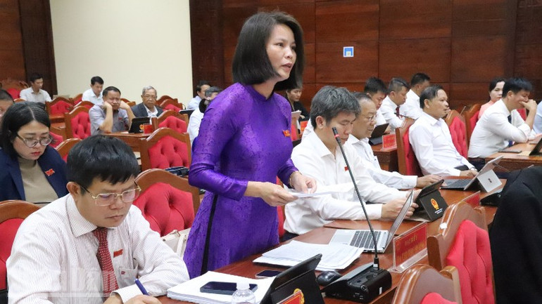 Các đại biểu thảo luận tại kỳ họp. ndo_bl_img-7260-8375.jpg