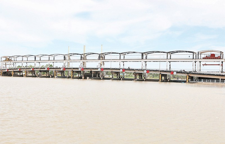 Cống thủy lợi Láng Thé, xã Nhị Long, tỉnh Vĩnh Long đóng cửa hoàn toàn khi độ mặn xấp xỉ 1‰. cl6.jpg