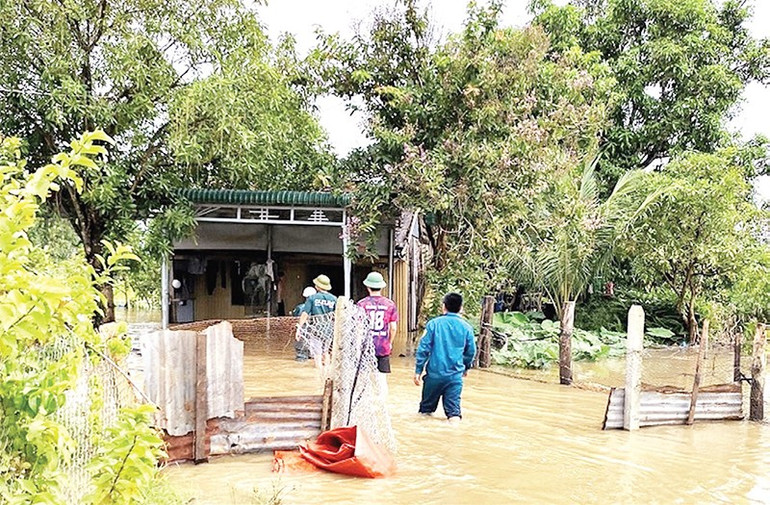Mưa lũ hằng năm gây thiệt hại nặng nề cho người dân tỉnh Đắk Lắk. t1408tn8.jpg