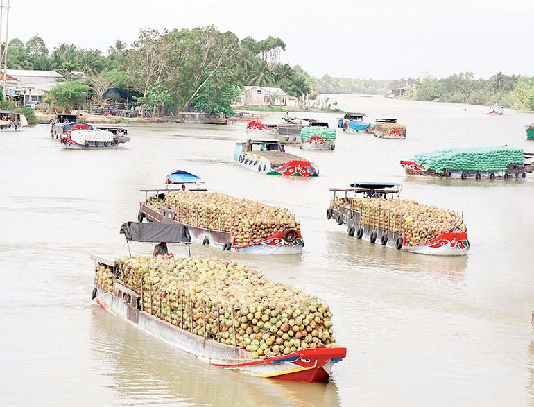 Cống thủy lợi Cái Hóp, xã Nhị Long, tỉnh Vĩnh Long mở, các phương tiện lưu thông dọc, ngang di chuyển, chưa bảo đảm trật tự an toàn giao thông. cl5.jpg