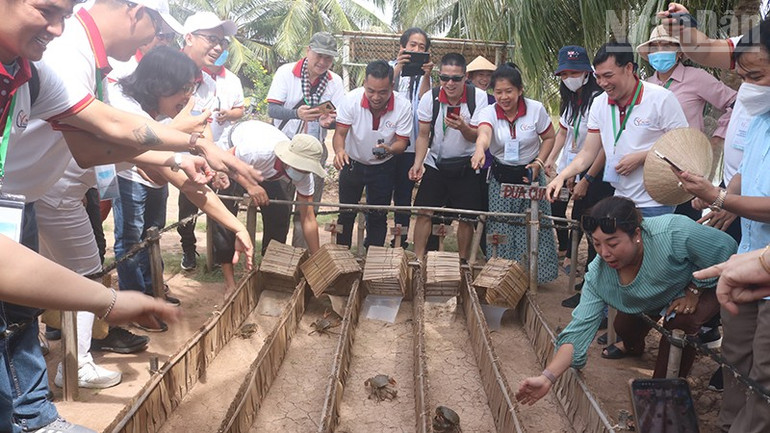 کون چیم، ہوا من کمیون میں سیاح کیکڑے کی دوڑ کے دلچسپ کھیل میں انعامات کے ساتھ حصہ لے رہے ہیں۔ ndo_tr_v3.jpg