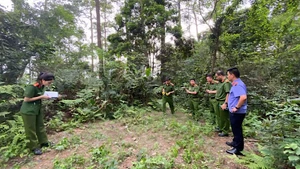 Khám nghiệm hiện trường vụ việc.