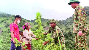 Cán bộ Biên phòng Đồn Pa Ủ (tỉnh Lai Châu) hướng dẫn người dân trồng cây ăn quả trên đất dốc.