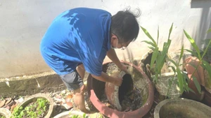 Người dân phường Buôn Ma Thuột, tỉnh Đắk Lắk chủ động lật úp các dụng cụ chứa nước để phòng, chống sốt xuất huyết.
