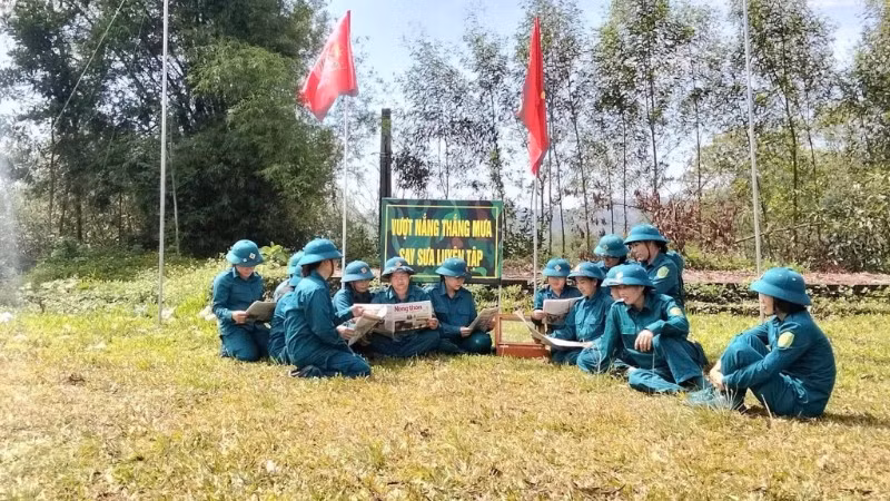 33-3081.jpg