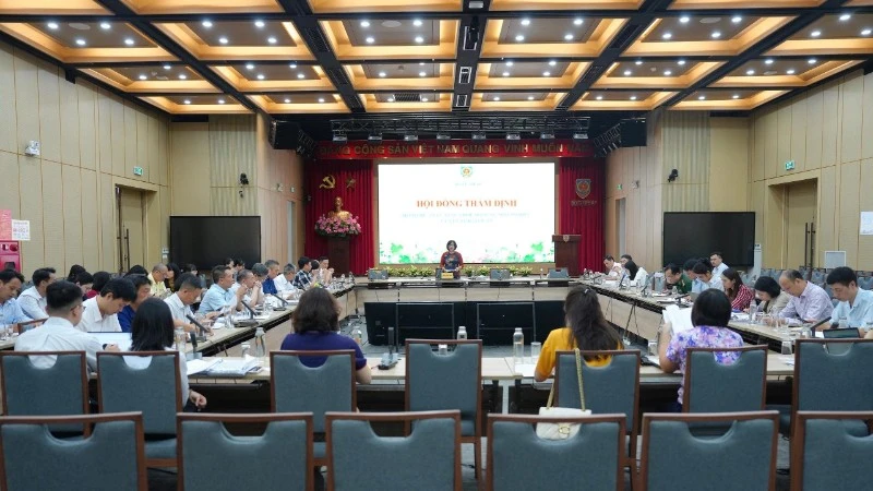 Sửa Luật Hải quan: Đề xuất kết nối dữ liệu với Bộ Công an và sàn TMĐT