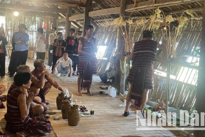 Lễ hội Sayangva (cúng Thần Lúa) của người Chơ Ro ở Đồng Nai.