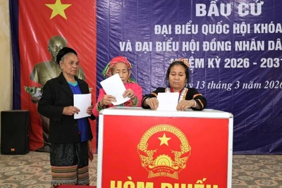 Cử tri 55 khu vực bỏ phiếu thuộc 12 xã miền núi, biên giới của tỉnh Nghệ An bỏ phiếu bầu cử.