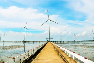 Cánh đồng điện gió ở Bạc Liêu. Ảnh: EVN