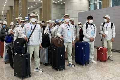 Tỉnh Nghệ An nằm trong nhóm địa phương dẫn đầu toàn quốc về số lượng lao động đi làm việc ở nước ngoài theo hợp đồng. (Ảnh: THÀNH ĐÔ)