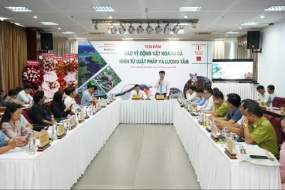 Quang cảnh tọa đàm.