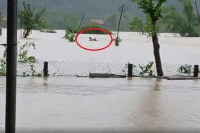 Khoảnh khắc Trung úy Lương Đức Sửu cứu ông Phòng khỏi nguy hiểm được người dân ghi lại.