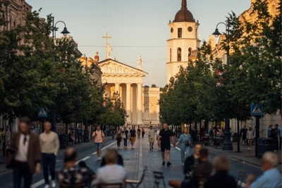 Nhiều người Việt Nam tại Litva kinh doanh trong các trung tâm thương mại tại thủ đô Vilnius.