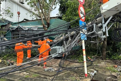 Công nhân điện lực ngày đêm khắc phục điện sau bão số 10.