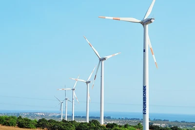 Ngân hàng Agribank quản lý chặt chẽ rủi ro môi trường và xã hội trong hoạt động cấp tín dụng cho các dự án năng lượng tái tạo như điện gió. Ảnh: NAM ANH