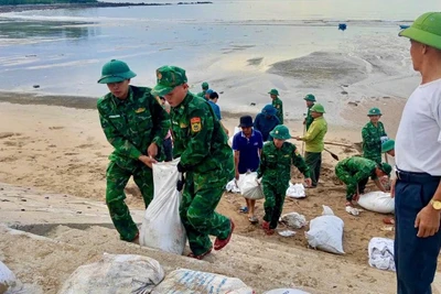 Cán bộ chiến sĩ Đồn Biên phòng Quỳnh Phương tích cực tham gia gia cố đê biển thuộc phường Tân Minh và phường Tân Mai.