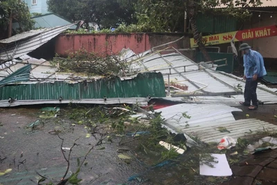 Chưa có thống kê đầy đủ, nhưng có đến hàng chục mái tôn bị gió thổi bay.