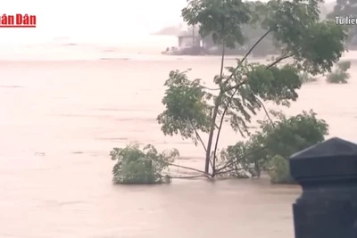 [Video] Cảnh báo nguy cơ ngập úng ở miền Bắc