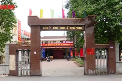 [Video] Rà soát, xử lý dứt điểm tài sản công dôi dư sau sắp xếp đơn vị hành chính