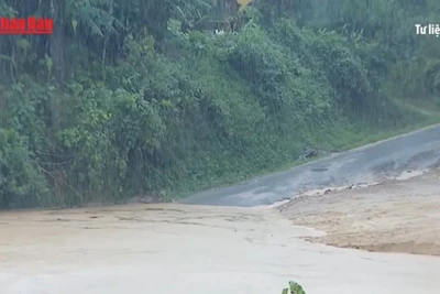 [Video] Cảnh báo mưa lớn, gió giật mạnh tại nhiều khu vực trên cả nước