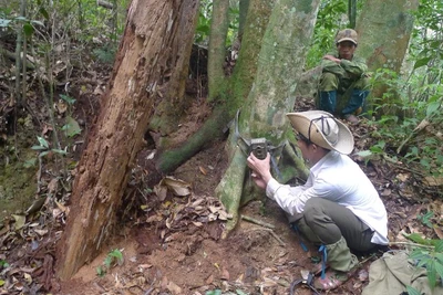 Ứng dụng thiết bị kỹ thuật trong bảo vệ rừng ở Vườn quốc gia Pù Mát.