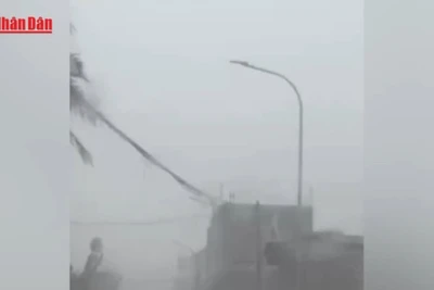 [Video] Thủ tướng chỉ đạo khẩn trương ứng phó với bão số 3 