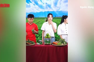 [Video] Quy định rõ trách nhiệm của người nổi tiếng trong quảng cáo trên môi trường số