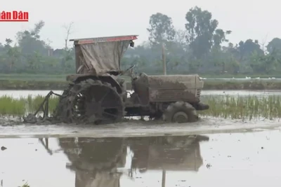 [Video] Từ 1/7, tổng điều tra nông thôn, nông nghiệp năm 2025