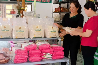 Giống lúa làng Giành đã được công nhận sản phẩm OCOP 3 sao.