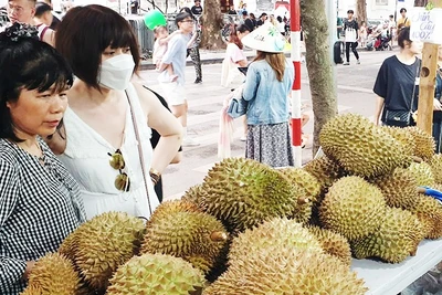 Sầu riêng Việt Nam được người tiêu dùng ưa chuộng nhờ hương vị đặc trưng và mức giá hợp lý. Ảnh: NAM ANH