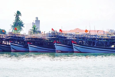 Hàng loạt tàu cá công suất lớn của các xã phía nam thành phố Đà Nẵng nằm bờ do giá xăng, dầu tăng cao.