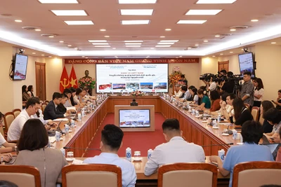 Tọa đàm ý kiến đóng góp cho Dự thảo Chiến lược truyền thông quảng bá hình ảnh Việt Nam ra nước ngoài. (Ảnh: Ban tổ chức)