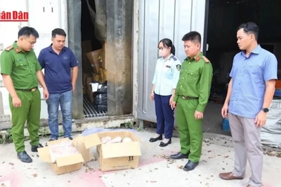 [Video] Phát hiện kho chứa 11 tấn thực phẩm hết hạn, không nguồn gốc tại Bình Dương