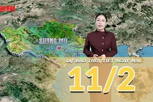 [Video] Dự báo thời tiết đêm nay và ngày mai 11/2/2026: Bắc Bộ mưa phùn và sương mù, Nam Bộ đón mưa trái mùa
