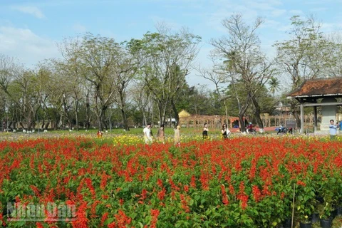 Tết Phú Xuân - Sắc vị Kinh kỳ hút khách từ những ngày mới chuẩn bị.