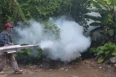 Cán bộ y tế thành phố Hà Nội phun hóa chất diệt muỗi phòng chống bệnh sốt xuất huyết. (Ảnh: VÂN VÂN)