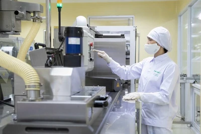 Công ty Cổ phần Traphaco ứng dụng hệ thống quản lý môi trường theo tiêu chuẩn ISO 14001, góp phần kiểm soát và giảm thiểu các tác động tiêu cực đến môi trường từ hoạt động sản xuất. (Ảnh MỸ HÀ)