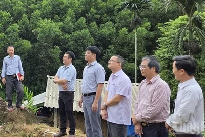 Phó Chủ tịch Ủy ban nhân dân tỉnh Quảng Ngãi Đỗ Tâm Hiển cùng lãnh đạo các sở, ngành chức năng kiểm tra khu vực có nguy cơ sạt lở núi tại thôn Ba Lang, xã Ba Vinh.