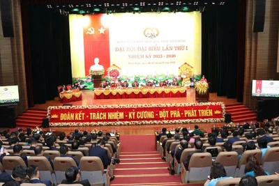 Các đại biểu dự đại hội.