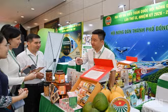 Các đại biểu tìm hiểu về sản phẩm nông nghiệp địa phương tại gian trưng bày của Hội Nông dân thành phố Đồng Nai.