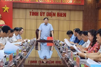 Bí thư Tỉnh ủy Trần Quốc Cường phát biểu tại buổi họp sáng 3/6.