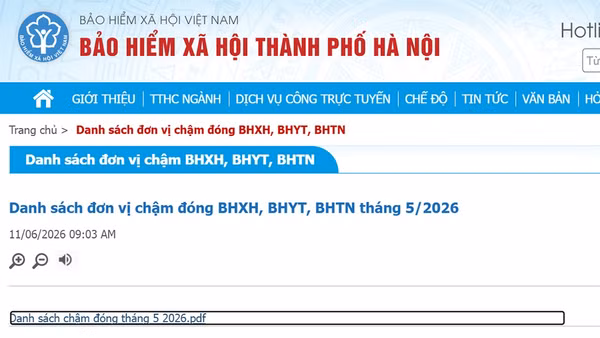 Thông tin về các đơn vị chậm đóng bảo hiểm xã hội, bảo hiểm y tế, bảo hiểm thất nghiệp trên website Bảo hiểm xã hội Hà Nội. 