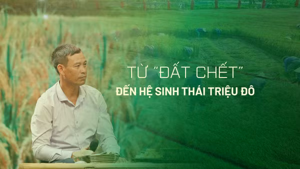 Từ “đất chết” đến hệ sinh thái triệu đô