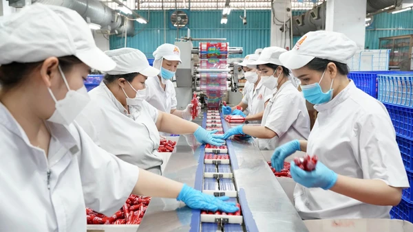 Người lao động tại Công ty Vissan. (Ảnh nhandan.vn)