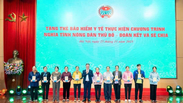 Phó Giám đốc Bảo hiểm xã hội tỉnh Trần Ngọc Tuấn cùng các đại biểu trao tặng thẻ bảo hiểm y tế cho người dân