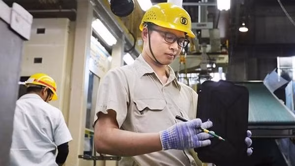 Ảnh minh họa Dolab.