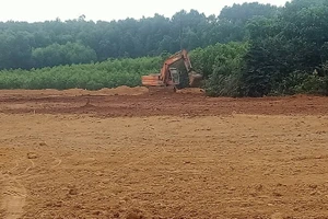 Diện tích bị bùn đất vùi lấp do sự cố đã cơ bản được cải tạo, làm đất tơi xốp, bằng phẳng để người dân tái sản xuất.